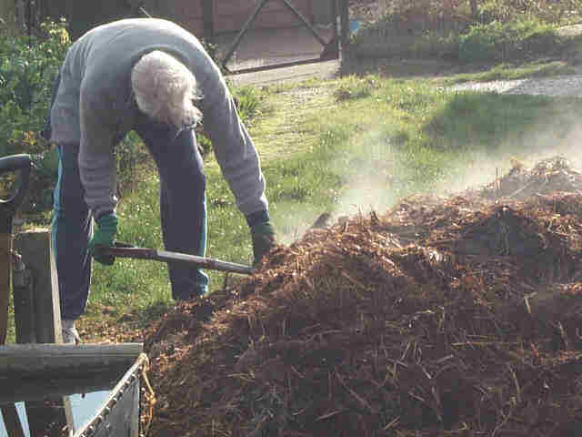 Copy%20of%20John%20with%20manure.jpg