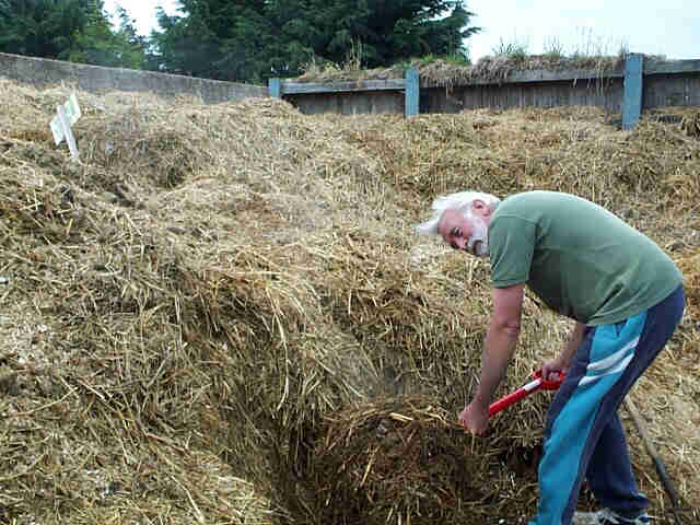 [Image: Dcp_0364%20Manure.jpg]